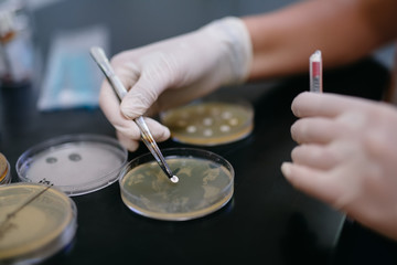Unrecognizable worker or scientist working with microscope in laboratory