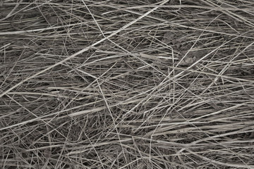 Dry straw. Background or Texture