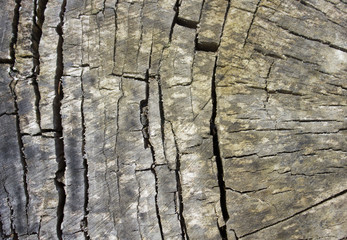 background sawn wood