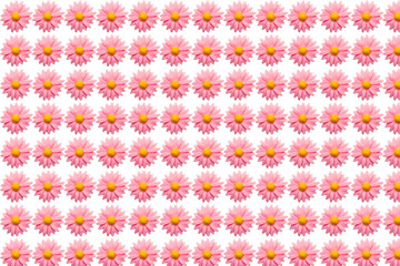 pink plastic flower on white background
