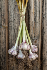 Cloves of garlic on vintage wood table