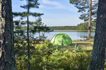  Summer landscape with a hiking tent standing on the lake shore in the pine forest at sunrise