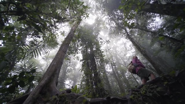 Young girl in jungle