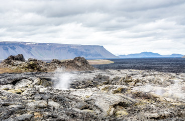Lava field covered with moss in Iceland