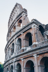 Fototapeta premium The Colosseum in the morning light. Rome, Italy