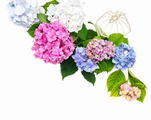 Fresh bouquet of hydrangea flowers on a white table
