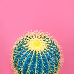 Rolgordijnen Cactus. Art Gallery Fashion Design. Minimal Stillife. Blue cactus Mood. Trendy Bright Summer Colors. Creative Unusual Style. Fashion Concept, pink background. Detail © evgenij918