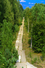 An old abandoned road in the exclusion zone. Dead military unit. Consequences of the Chernobyl nuclear disaster, August 2017.