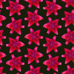 Lily Red pattern seamless. Beautiful flower background