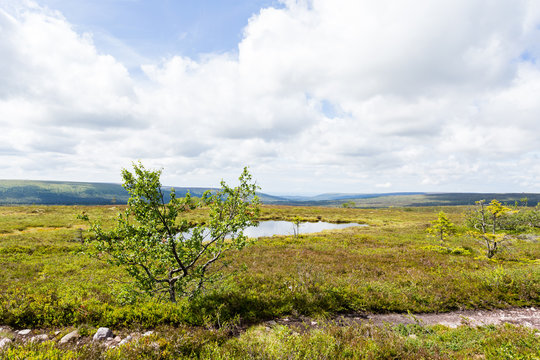 Svenska fj&auml;llen om sommaren med fj&auml;llsj&ouml; och utsikt