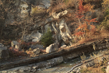 Wild nature autumn landscape in mountains with rock wall and different plants