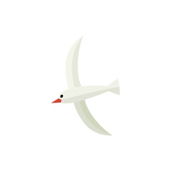 Flying, hovering seagull, flat style cartoon vector illustration isolated on white background. Simple flat style cartoon vector illustration of seagull hovering in the sky
