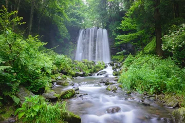 Foto op Plexiglas 日本の滝、長野県、上田市、菅平高原。 © blew_f