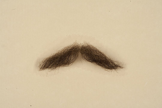 Artificial Mustache for Film and Theater Production
