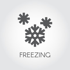Snowflake icon in flat design. Symbol of freezing and seasons weather concept. Black simple pictogram. Vector illustration