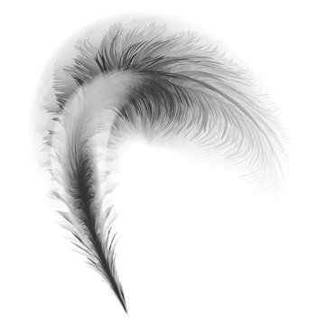 A vector illustration of an old quill and ink.Feather Quill and ink.A retro image of a writing with quill icon.