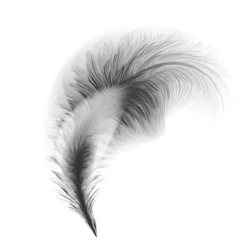 A vector illustration of an old quill and ink.Feather Quill and ink.A retro image of a writing with quill icon.