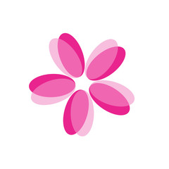 Pink flower isolated on white background