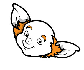 Smiling Leprechaun Face