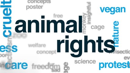 Animal rights animated word cloud, text design animation.