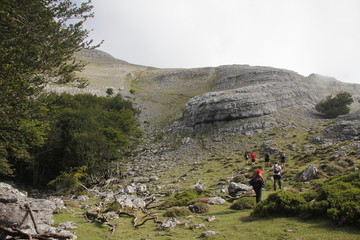 Gorbeia