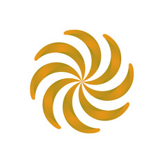 Orange flower isolated on white background