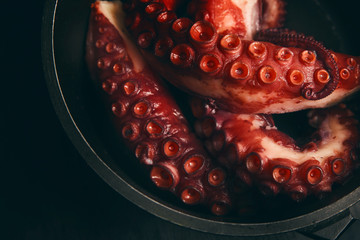 Octopus in pot