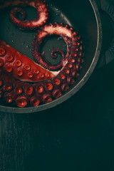 Octopus in pot
