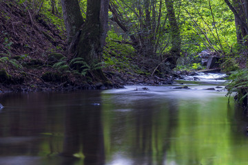 Bachlauf im Hunsrück - Deutschland