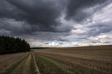 Fototapeta na wymiar Field path leading to a forest under dark clouds