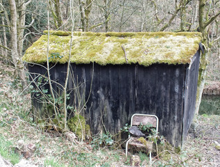 dilapidated wooden shack with chair outside in woodland near a river with black painted planks and moss covered roof
