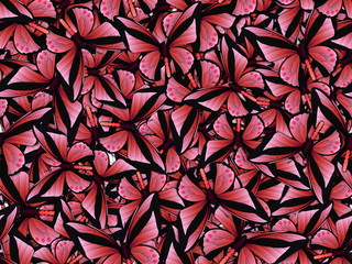 Fototapeta na wymiar Seamless pattern with lot of different butterflys