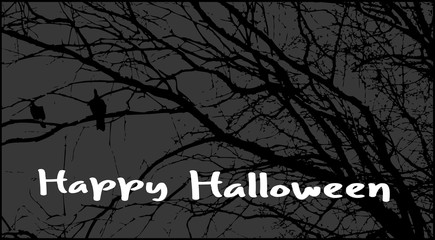 Dead Tree Branches Background