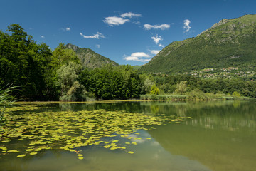 Fototapeta premium Riserva naturale Lago di Piano (Porlezza)