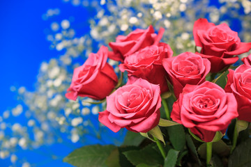 薔薇の花