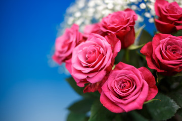 Obraz premium 薔薇の花