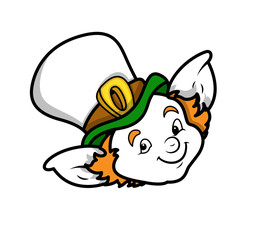 Cute Leprechaun Face