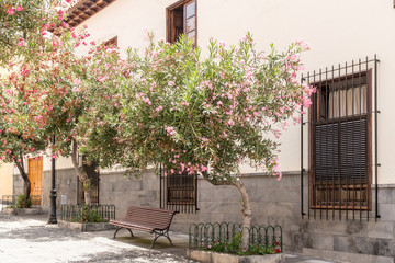 Blumen vor einem Haus in Spanien
