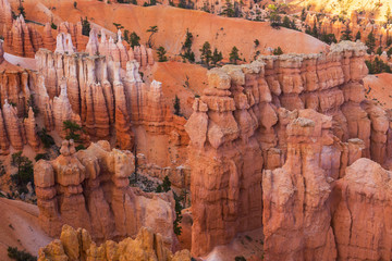 Bright red formations in Bryce Canyon,Utah, under warm evening light
