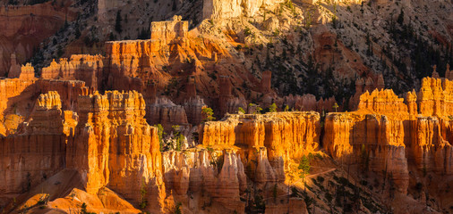 Scenery in Bryce Canyon National Park, under warm sunrise light