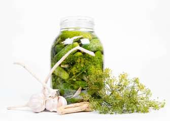 Brined pickles in a jar, with all  the ingredients for  making them (garlic, dill and horseradish)