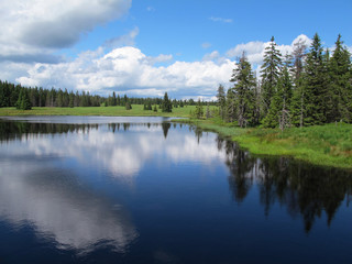 Dead pond, Ore mountains (Czech Republic)