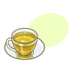 Green tea drink in transparent glass mug and saucer, sketch vector illustration isolated on white background with speech bubble
