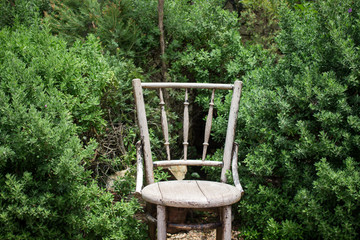 One wooden chair stand alone in the garden.
