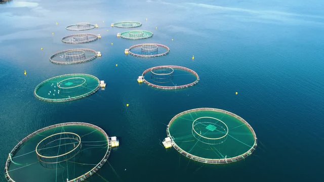 Aerial footage Farm salmon fishing in Norway