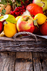 Autumn fruit background. Autumn Thanksgiving seasonal fruit.  Decorative pumpkins,colorful leaves,chestnuts,acorns,Rowan and cranberries .selective focus.
