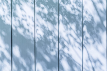 木の影が写るコンクリートの壁
