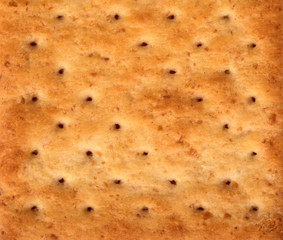 Close up the healthy  whole wheat cracker on white background