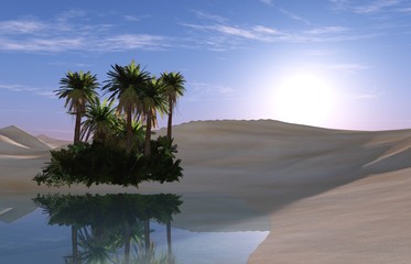 Oasis Desert landscape with a pond, palm trees and stones