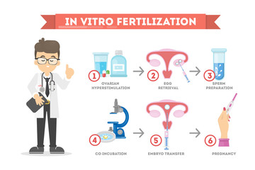 In vitro fertilization.